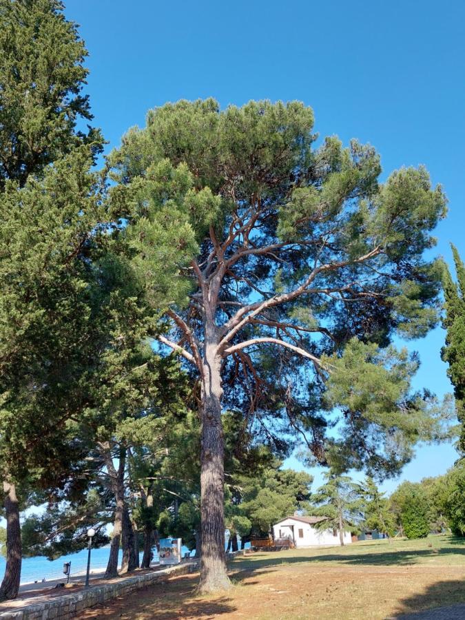 Apartmani Prodan 2 Fažana Εξωτερικό φωτογραφία